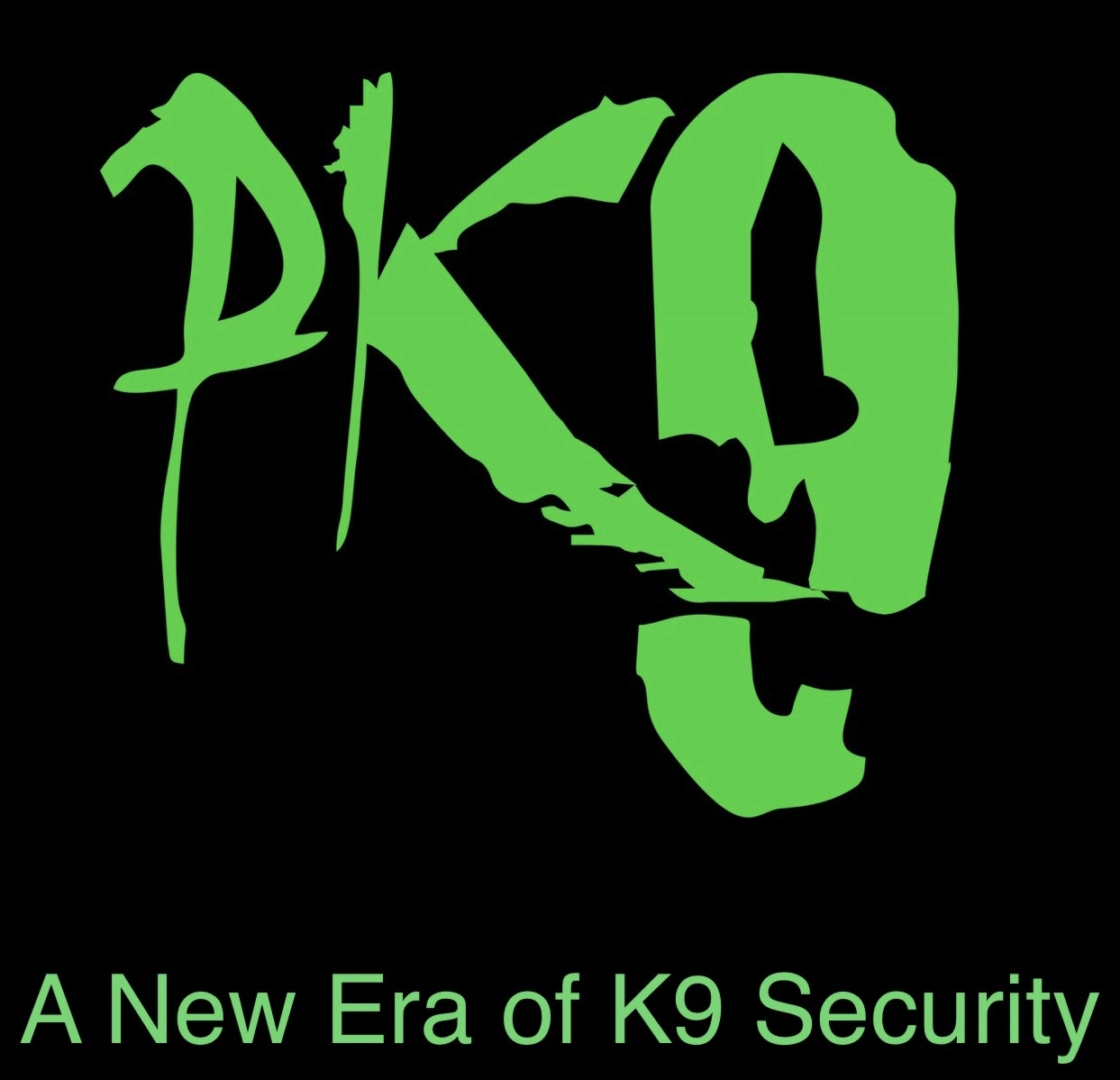 PK9 Logo